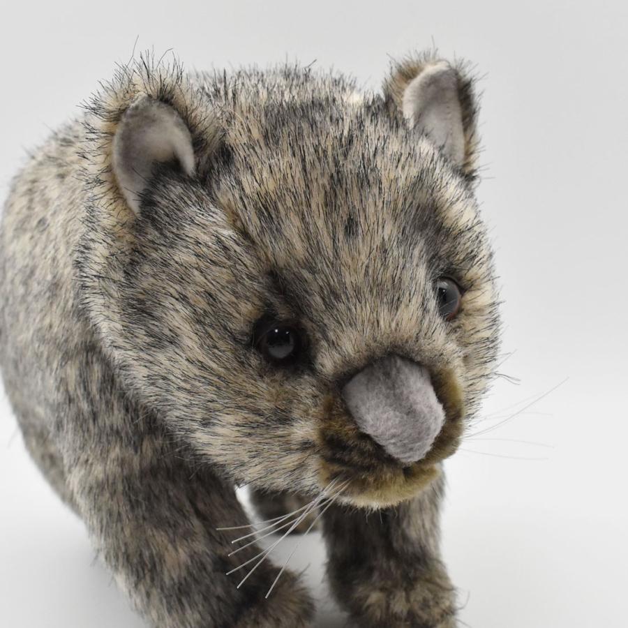 HANSA BH3249 ウォンバット うぉんばっと ぬいぐるみ リアル : Dear