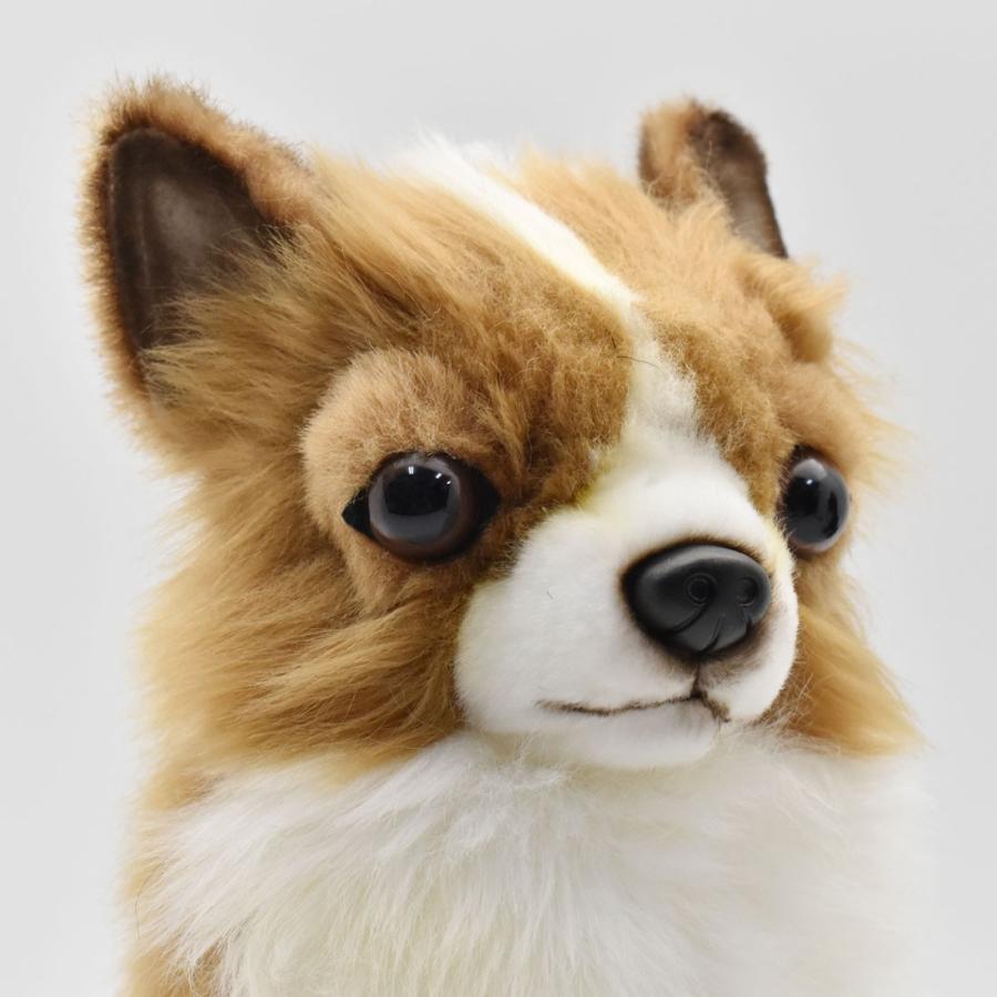 HANSA BH6502 チワワ ちわわ いぬ イヌ 犬 ぬいぐるみ リアル : Dear