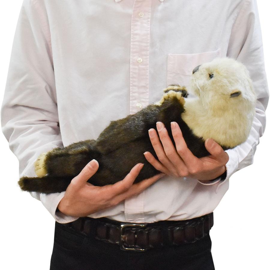 HANSA BH8145 ラッコ らっこ 海獺 ぬいぐるみ リアル : Dear Bear WEB