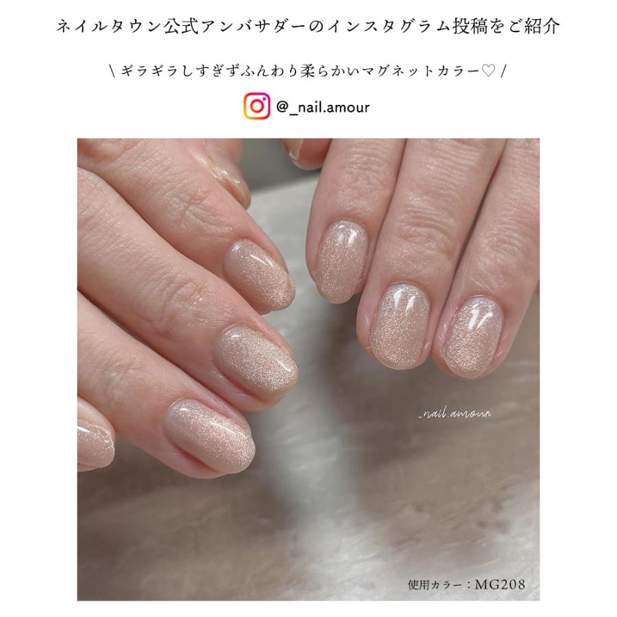 irogel（イロジェル） [ネコポス送料無料]マグネットネイル irogel MG