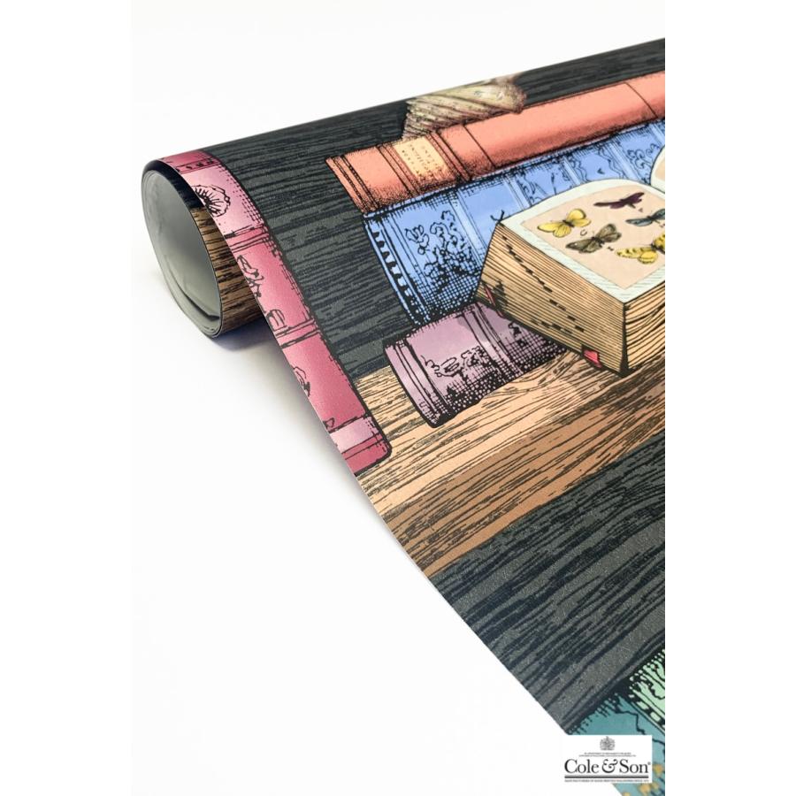 本棚柄 ブックスタンド 洋書柄 イタリア フォルナセッティ Cole＆Son