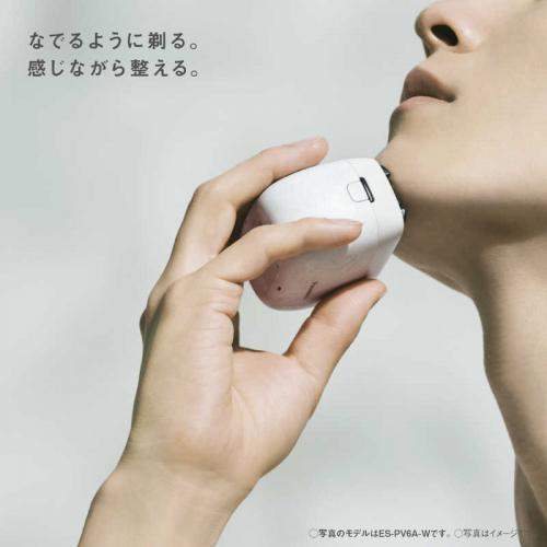 Panasonic（パナソニック） ラムダッシュ パームイン スタンダード