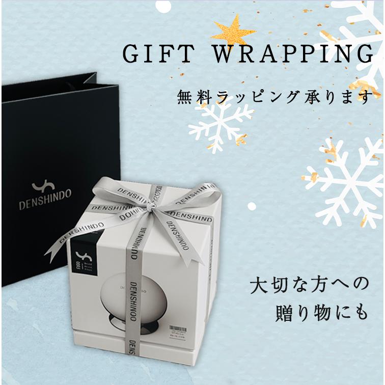 公式！爆買い P17倍~ +ギフト】DENSHINDO プラズマ エアシャワー 美顔