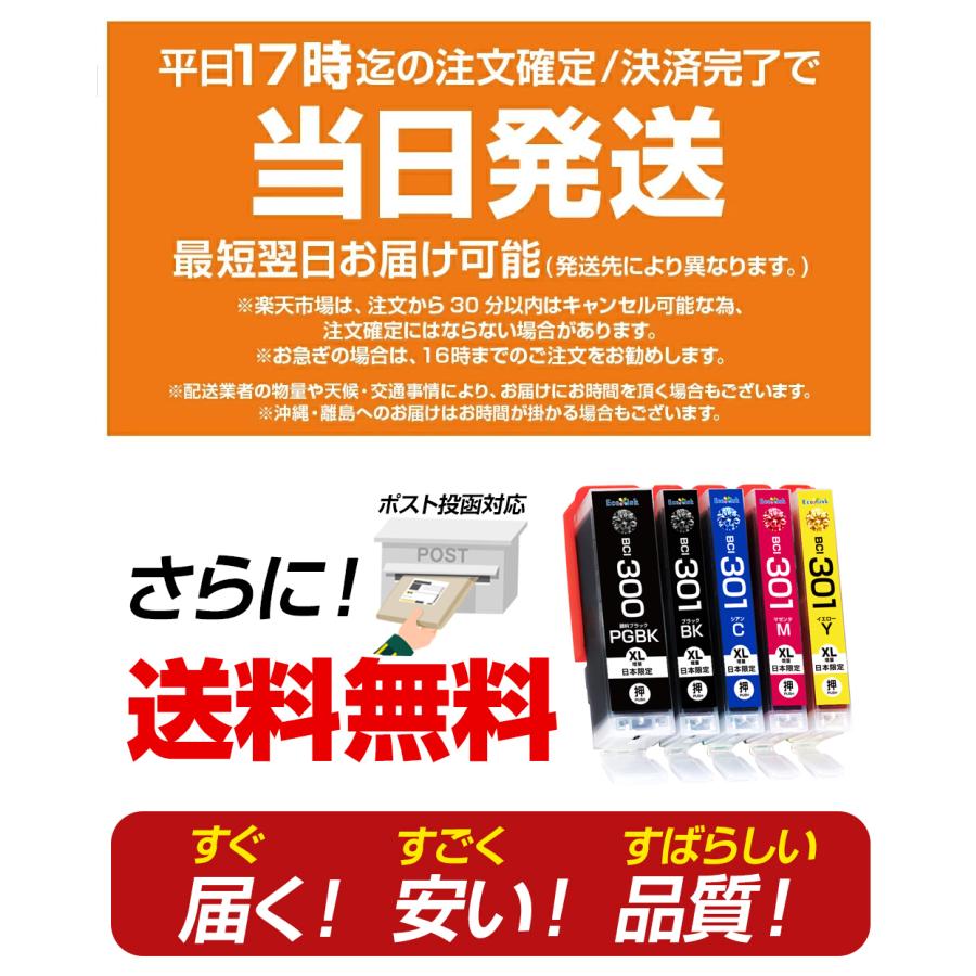 エコインク BCI-301+300 5MP 大容量 5色セット キャノン Canon 互換