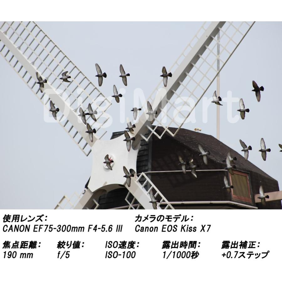 EFレンズ キヤノン Canon EF75-300mm F4-5.6 III 激安望遠ズームレンズ