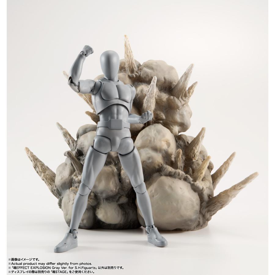 BANDAI（バンダイ） 魂EFFECT EXPLOSION Gray Ver. for S.H.Figuarts