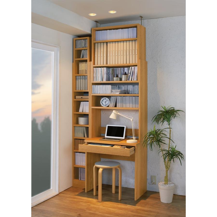 dinos（ディノス） 1台で壁いっぱいに本を収納！本好きのための壁面