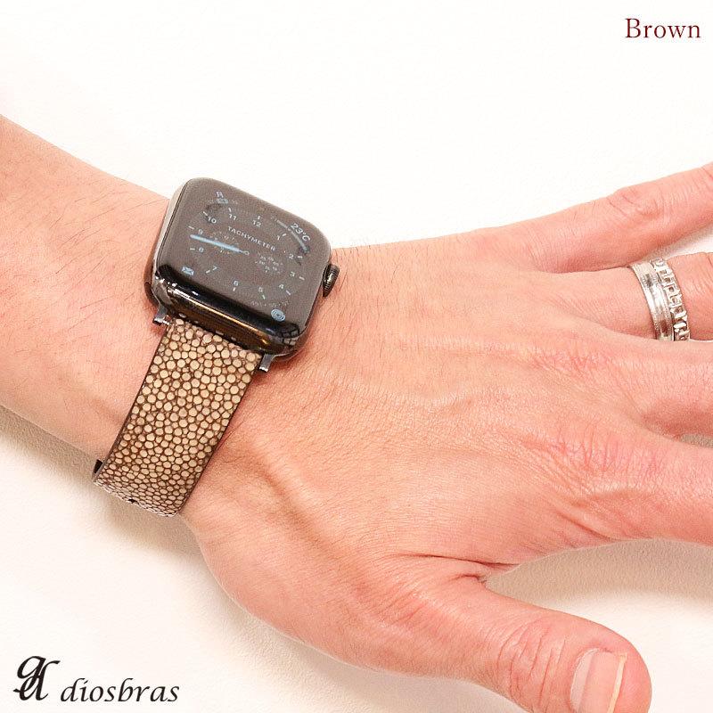 スティングレイ エイ革 ガルーシャ スティングレー 16mm18mm 20mm 22mm