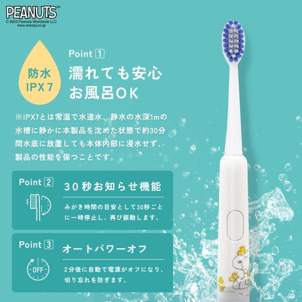 ドリテック 電動歯ブラシ ピーナッツデザイン 音波式 防水 タイマー