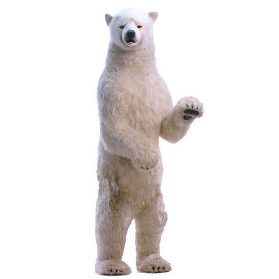 HANSAぬいぐるみ【立つ シロクマ （高さ：260cm)】（等身大