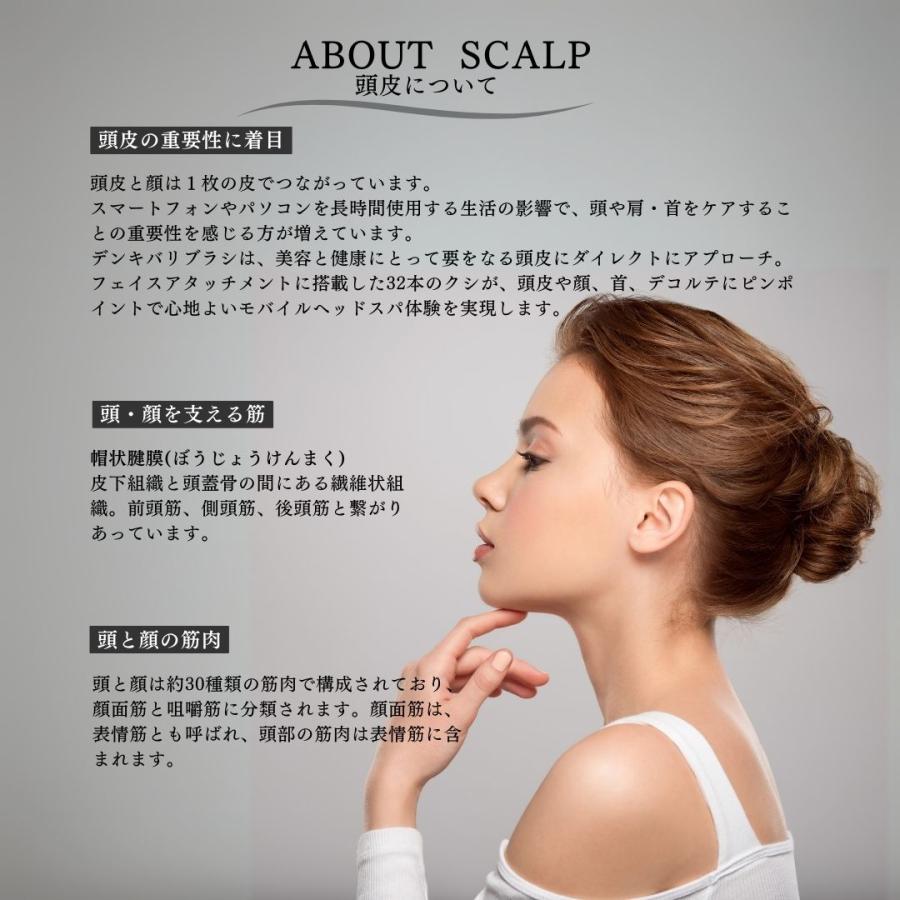 ELECTRON（エレクトロン） 【正規品】デンキバリブラシ 電気バリブラシ