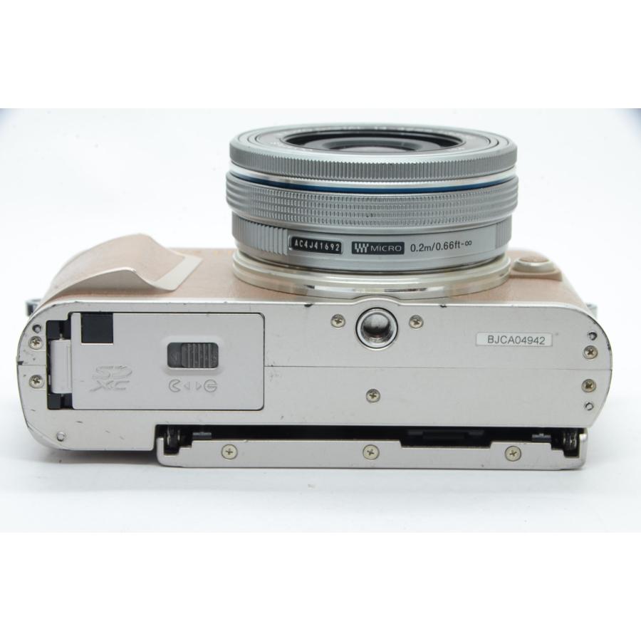 OLYMPUS PEN オリンパス E-PL10 ブラウン EZ ダブルズームキット