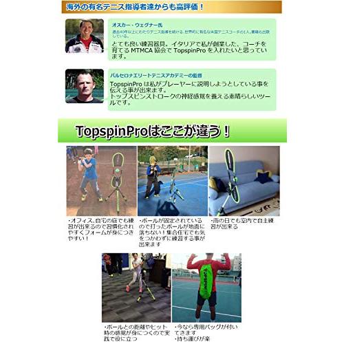 1日2分でトップスピンを学ぶ TopspinPro(トップスピンプロ) 世界120