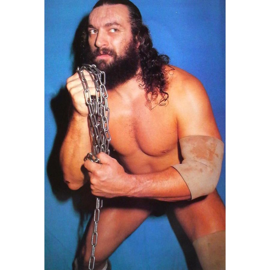 ブルーザー・ブロディ Tシャツ「BRUISER BRODY Bruiser Brody 1 絵画 T