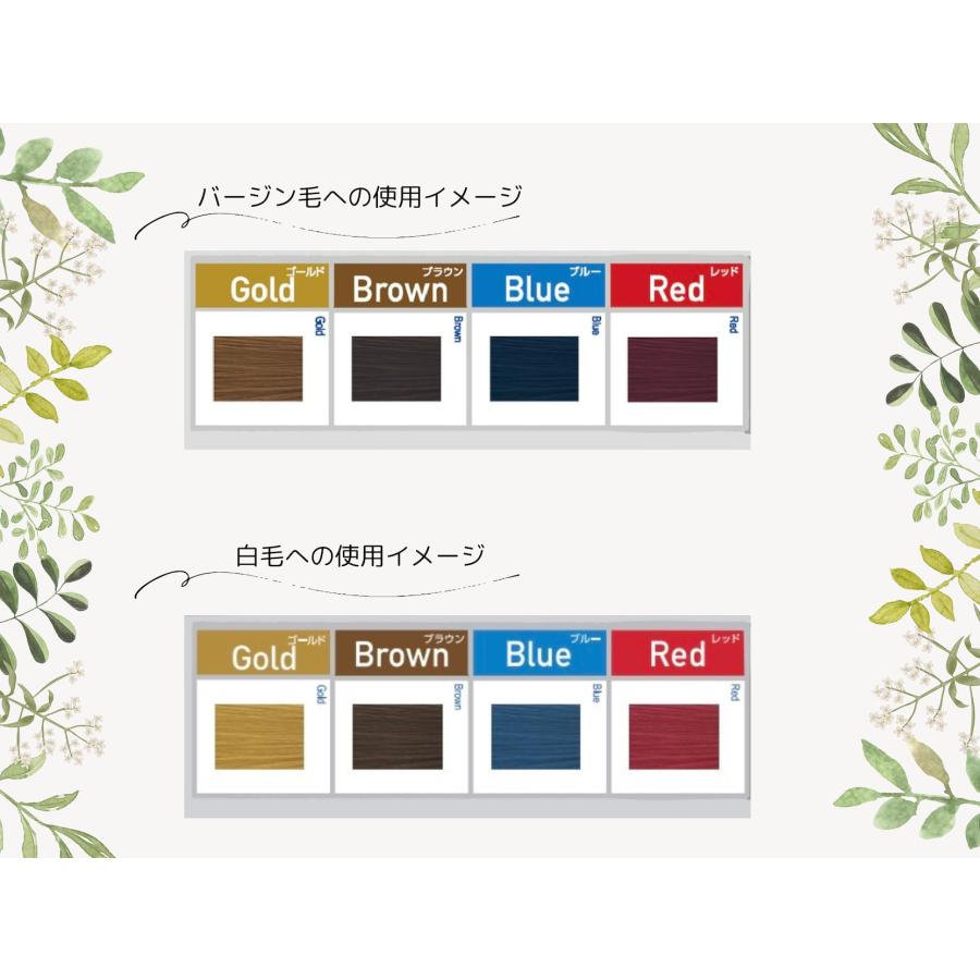 ORDEVE（オルディーブ） ミルボン アディクシー 1剤 80g 選択式 カラー