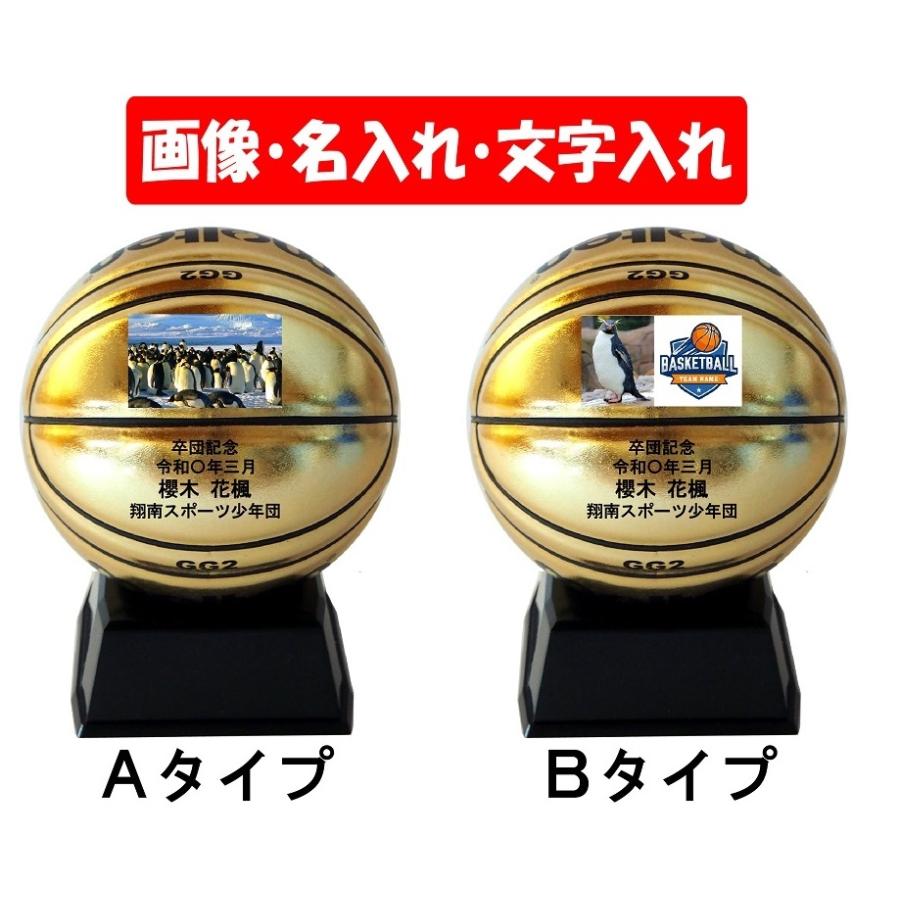 molten（モルテン） 【卒業記念、卒団記、名入れ】モルテン