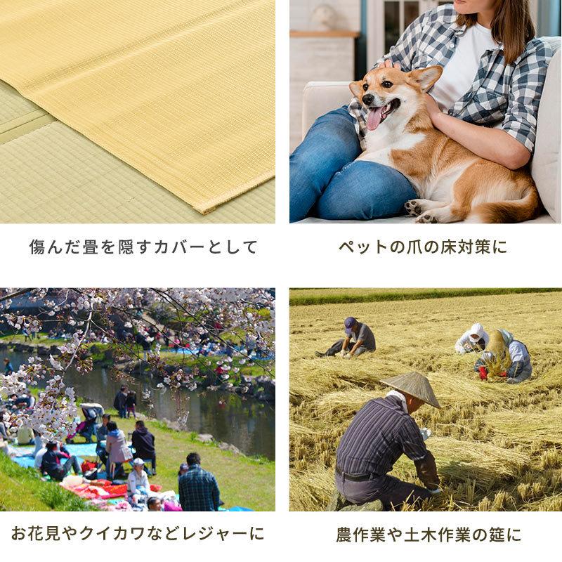 イケヒコ い草風PPカーペット ラグ 8畳 江戸間 348×352cm 日本製