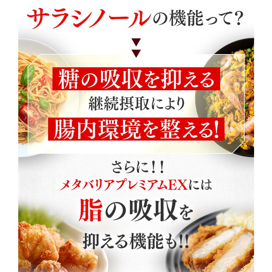 メタバリア プレミアムEX 60日分 480粒 (30日分袋タイプ 240粒 ×2個