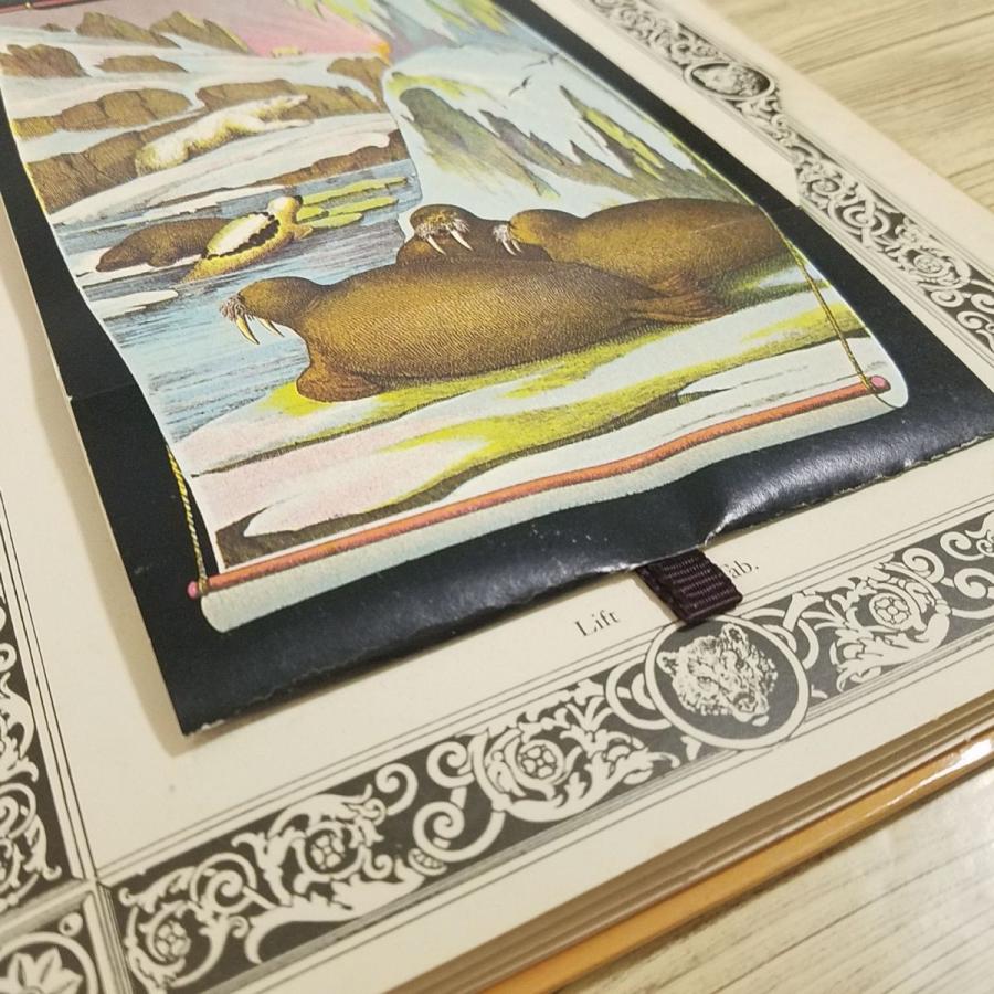 仕掛絵本[アーネスト・ニスター The Great Menagerie（訳アリ）]洋書