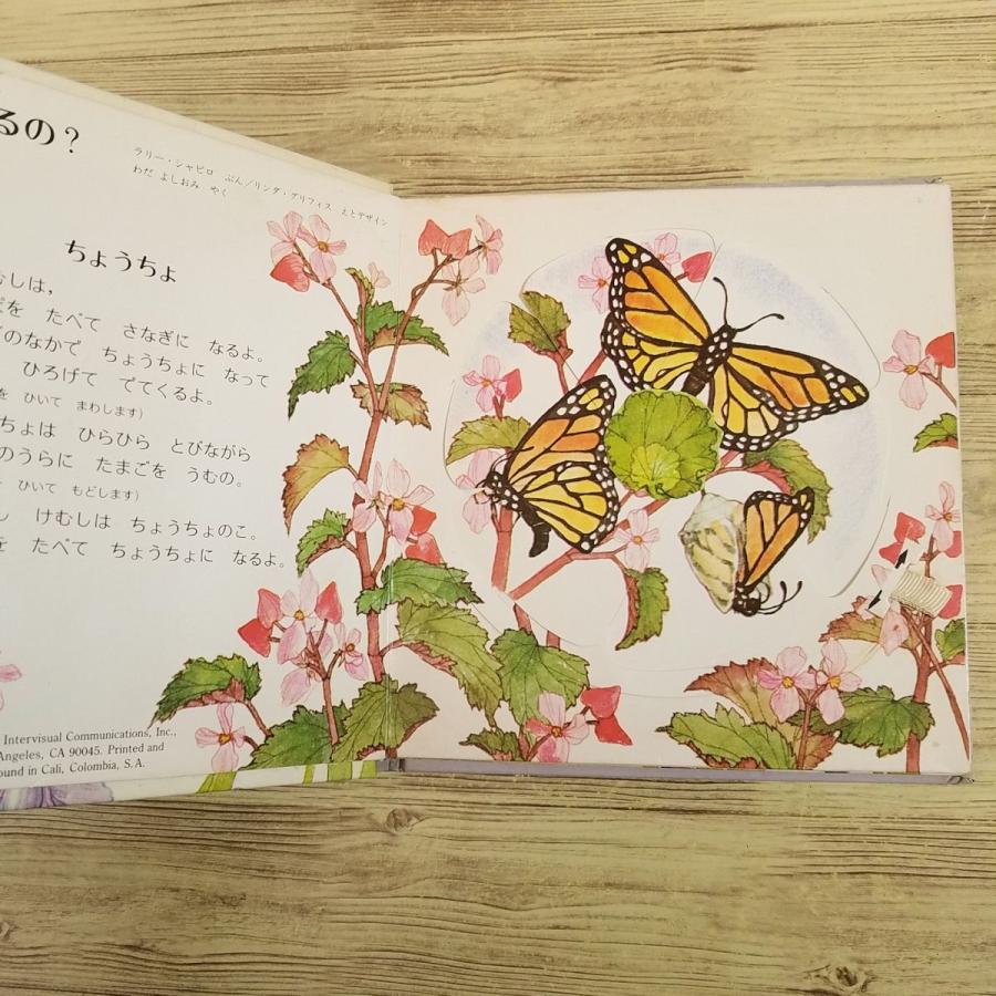 仕掛絵本[なんに なるの？ フラワーえほん] 1980年 昭和レトロ レトロ