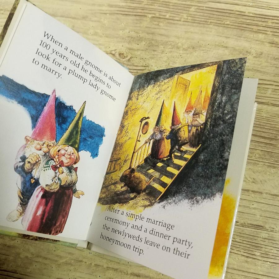 外国語絵本[Teeny Tiny Gnome Tomes 小さな小さなノームの本 箱入り3冊