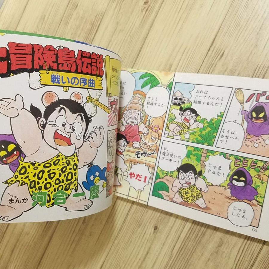 攻略本[高橋名人の大冒険島 ハドソン公式ガイドブック] ワンダーライフ