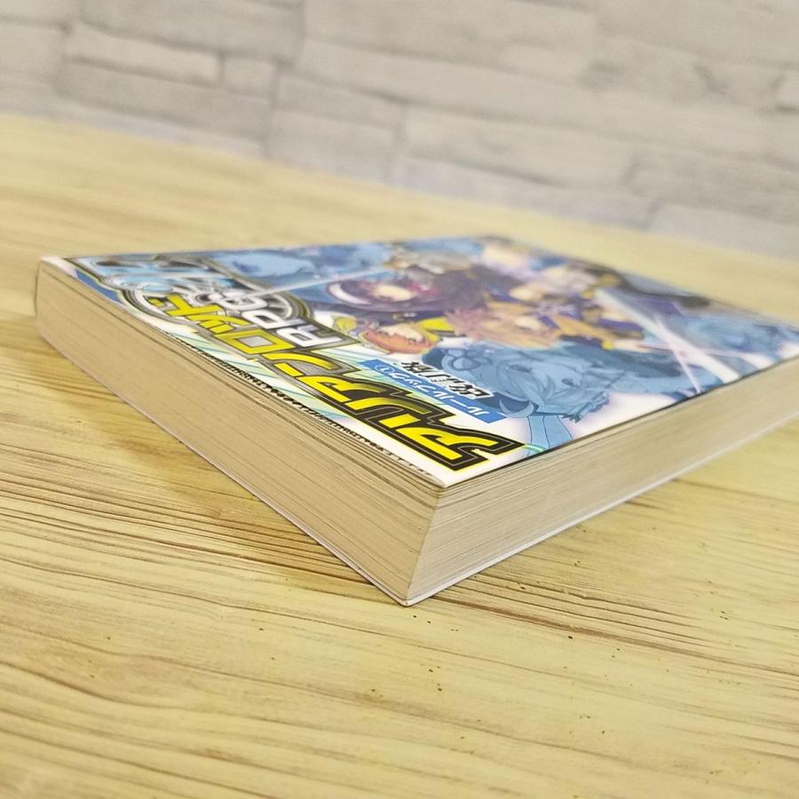 TRPG[アリアンロッドRPG 2E ルールブック1 改訂版（キャラクターシート