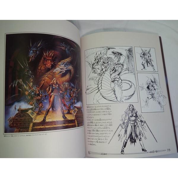 ドラゴンランス・ファインアート 異界の扉 メアリー・カーカフ 富士見