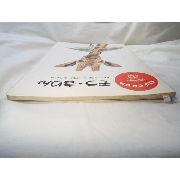 絵本[ビッグチャム ずかんえほん4 ぞう・きりん] 超大型A3判 : FUNFUN