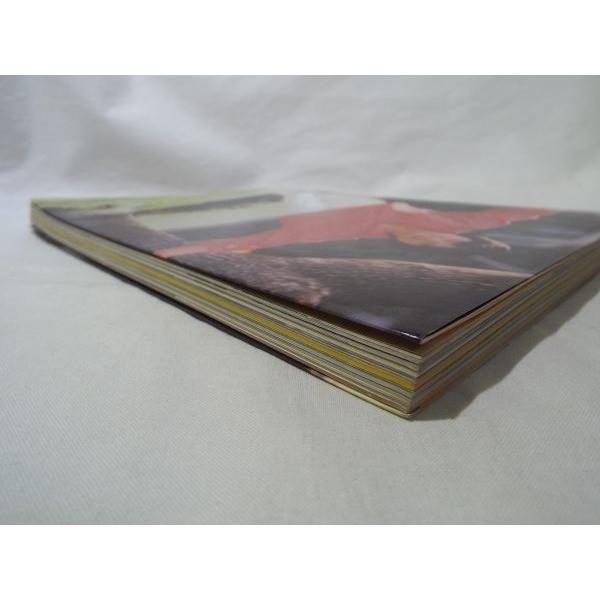 映画関連[ジャッキー・チェン カラーデラックス] 昭和57年 昭和レトロ