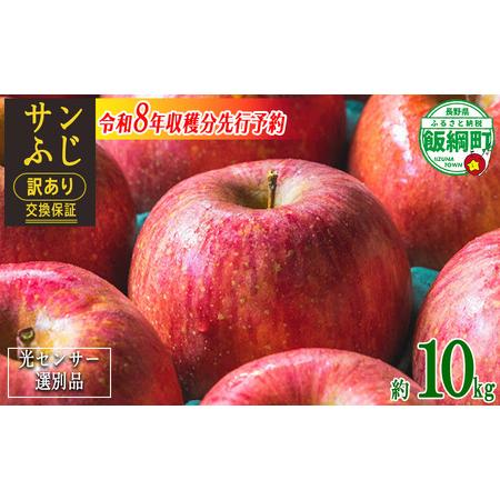 ふるさと納税 【 感謝りんご / 光センサー選別品 】 りんご サンふじ