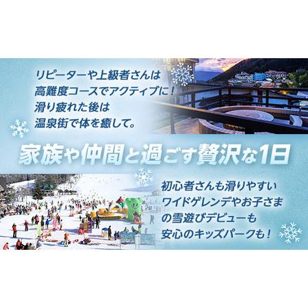 ふるさと納税 野沢温泉スキー場 リフト＆ゴンドラ1日券 | I-1 リフト券