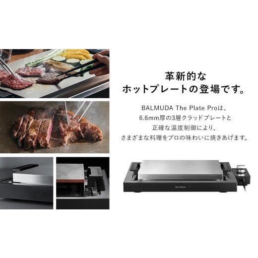 ふるさと納税 キッチン家電 東京都 武蔵野市 バルミューダ BALMUDA The