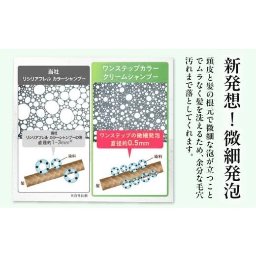 ふるさと納税 美容 福岡県 糸島市 ミルキーベージュ 色が選べる