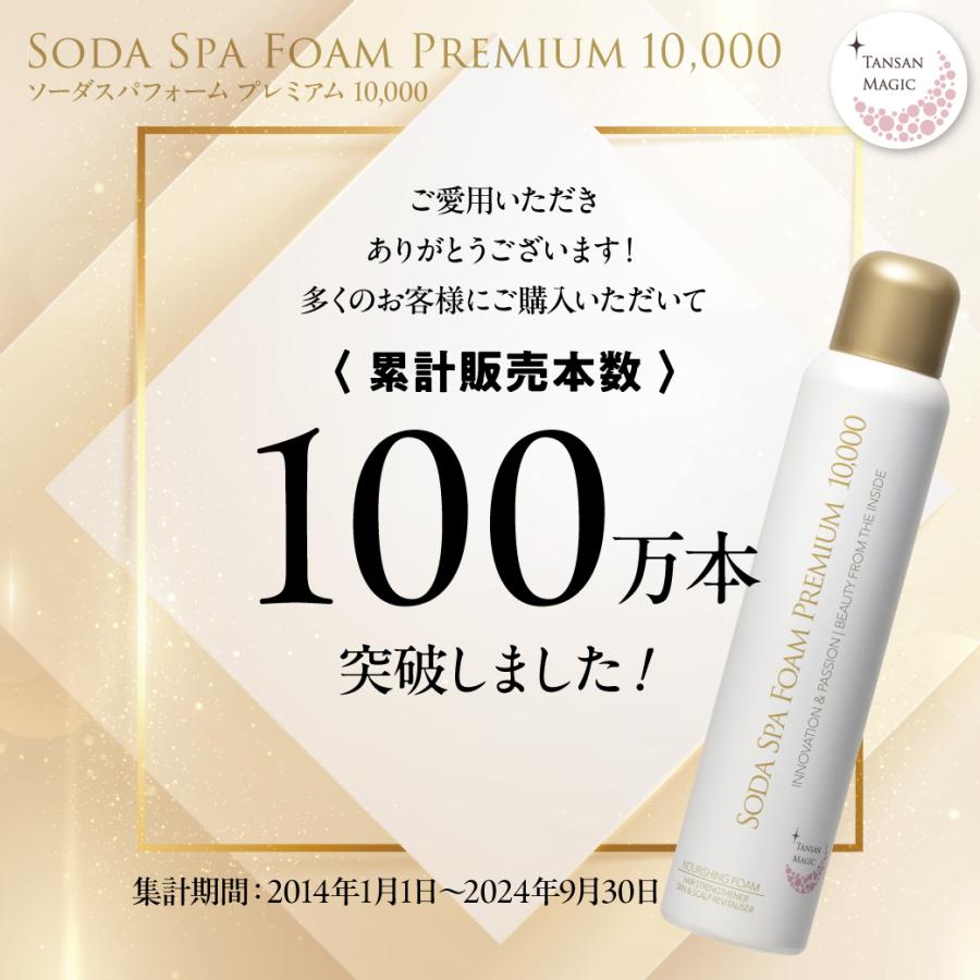 ピュアインバスフォーム 2本 炭酸パック 炭酸クレンジング ピュア