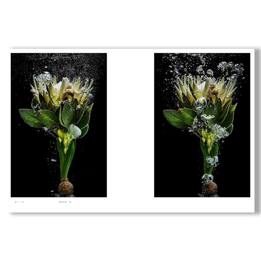 極美品 園芸植物大事典 全6巻 極美品 園芸植物大事典 全6巻 園芸植物