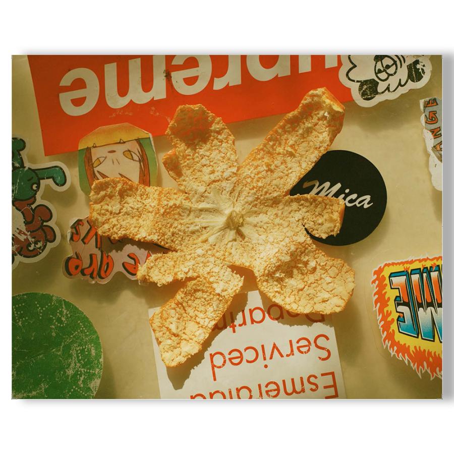 気持ちね』 服部恭平 作品集 : 銀座 蔦屋書店 - 通販 - Yahoo!ショッピング