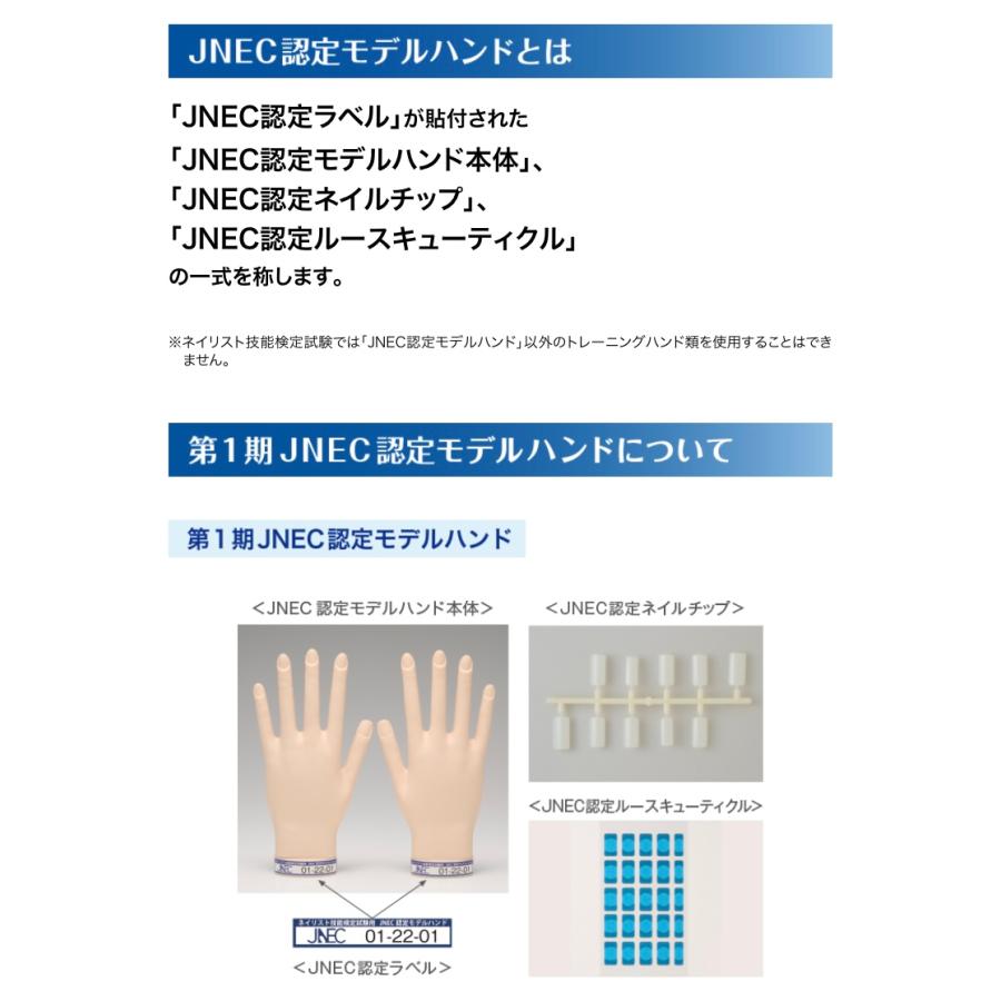 JNEC認定 STモデルハンド ネイルチップ 練習用/トレーニング用