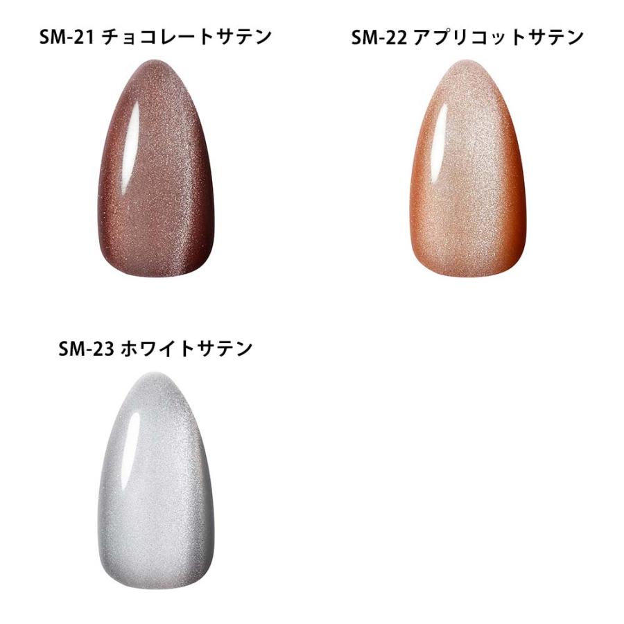 KOKOIST ココイスト サテンマグネット 10g 全7色 SM-17〜23 微粒子