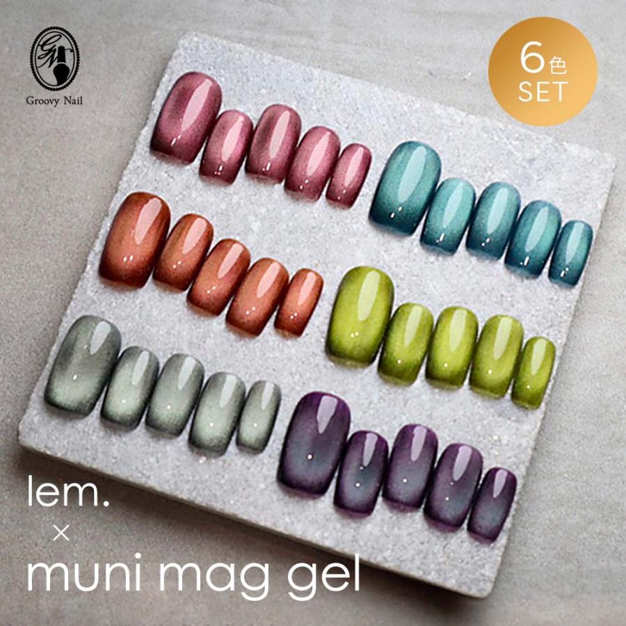 lem. メタリックカラー ジェルネイル 6本セット lem. メタリックカラー