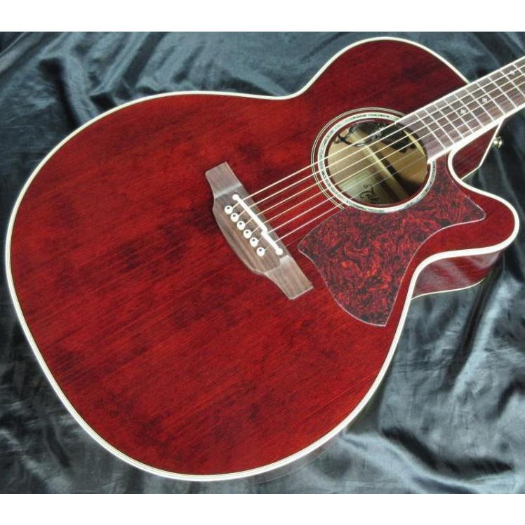 Takamine [※お取り寄せ商品] Takamine DMP551C WR タカミネ エレアコ