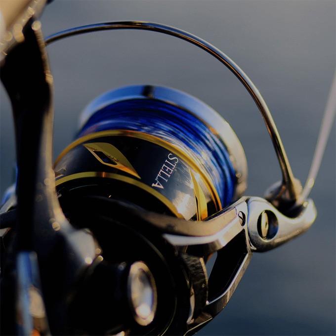 シマノ（SHIMANO） 20 ステラSW 6000PG (2020年追加モデル) スピニング