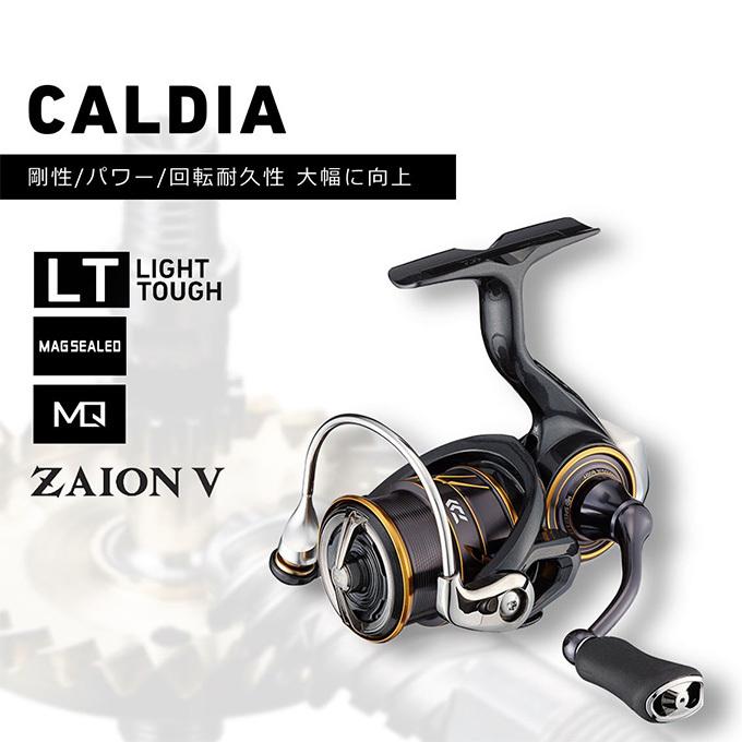 DAIWA（ダイワ） 【目玉商品】ダイワ 21 カルディア FC LT2500S (2021