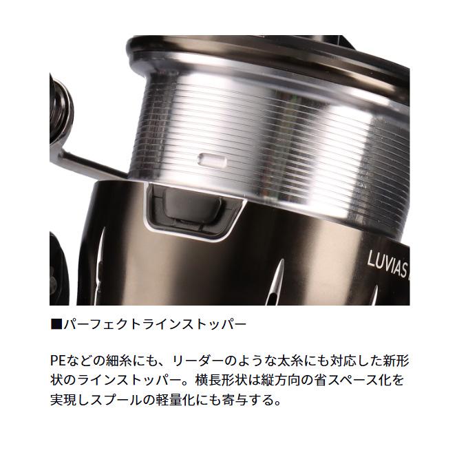 DAIWA（ダイワ） 24 ルビアス LT2000S-H (2024年モデル) スピニング