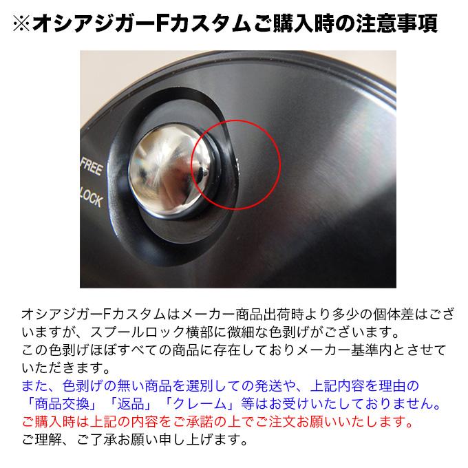 シマノ（SHIMANO） 19 オシアジガー F カスタム 2000NRHG (右ハンドル