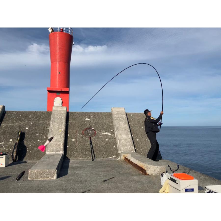 がま投 (再入荷予約・送料無料)がまかつ/Gamakatsu がま磯 カゴ