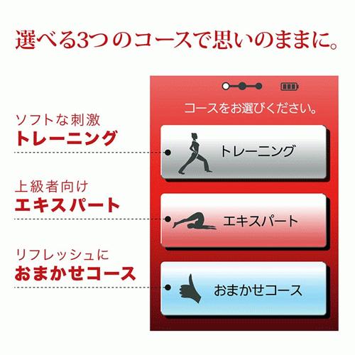 家庭用EMSマシン イトー STYLIFT（スタイリフト） : フジメディカル