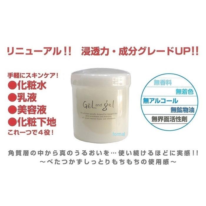 ゲルアンドゲルS クリーム レギュラー 容量 500g ゲル&ゲル ピュア