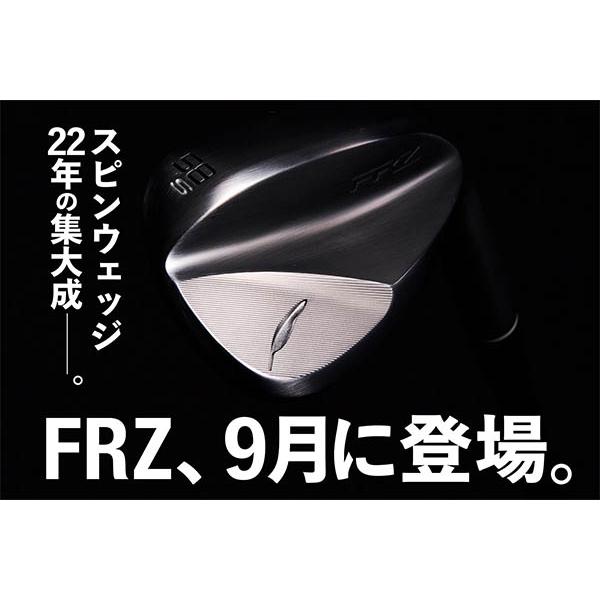 フォーティーン ウェッジ FRZ 50度 ダイナミックゴールドEX