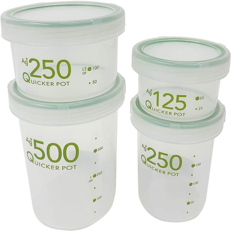 金環ソテツ 2.5号ポットつき 2株セット❗ い 金環ソテツ 2.5号ポット